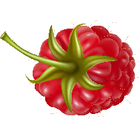 Rraspberry Png Image