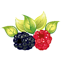 Rraspberry Png Image