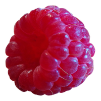 Raspberry Transparent Image PNG Image
