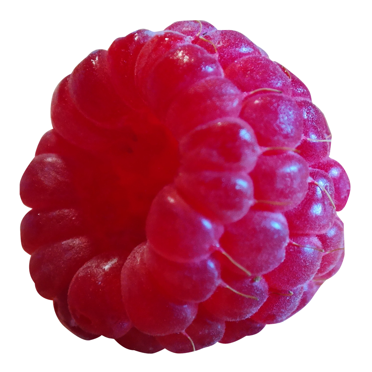 Raspberry Transparent Image PNG Image