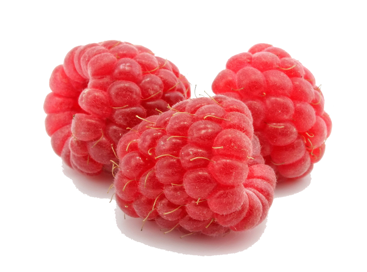 Raspberry File Transparent PNG Image