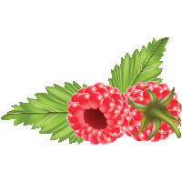 Rraspberry Png Image