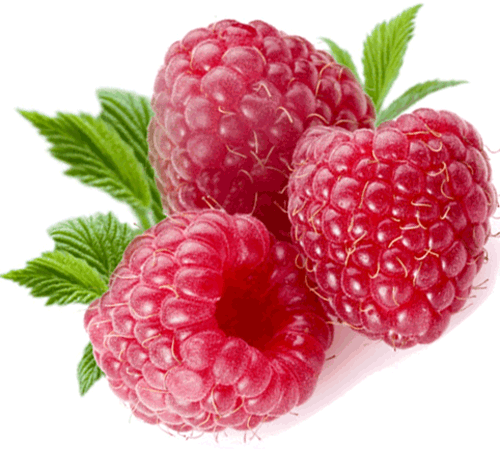 Rraspberry Png Image PNG Image