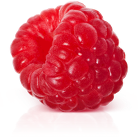 Raspberry Png Hd PNG Image