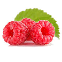 Raspberry Free Png Image PNG Image