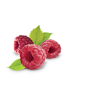 Raspberry Png Clipart PNG Image