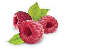 download raspberry png clipart hq png image freepngimg raspberry png clipart hq png image