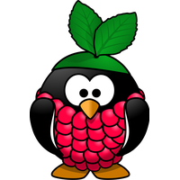 Raspberry Icons Computer Linux Party Pi Arch PNG Image