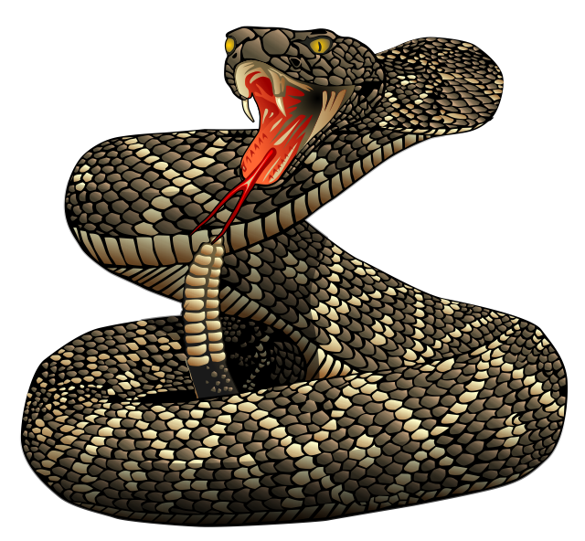 Rattlesnake Png File PNG Image