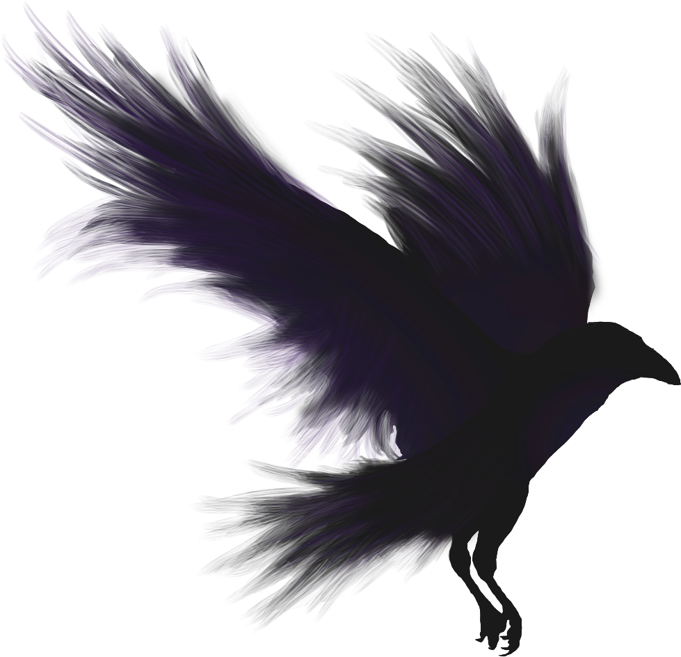 Pic Bird Raven Download HQ PNG Image