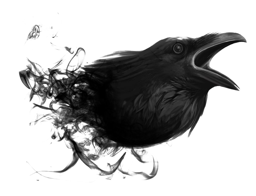 Raven Free Clipart HQ PNG Image