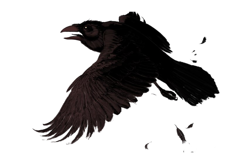 Pic Raven Download HD PNG Image