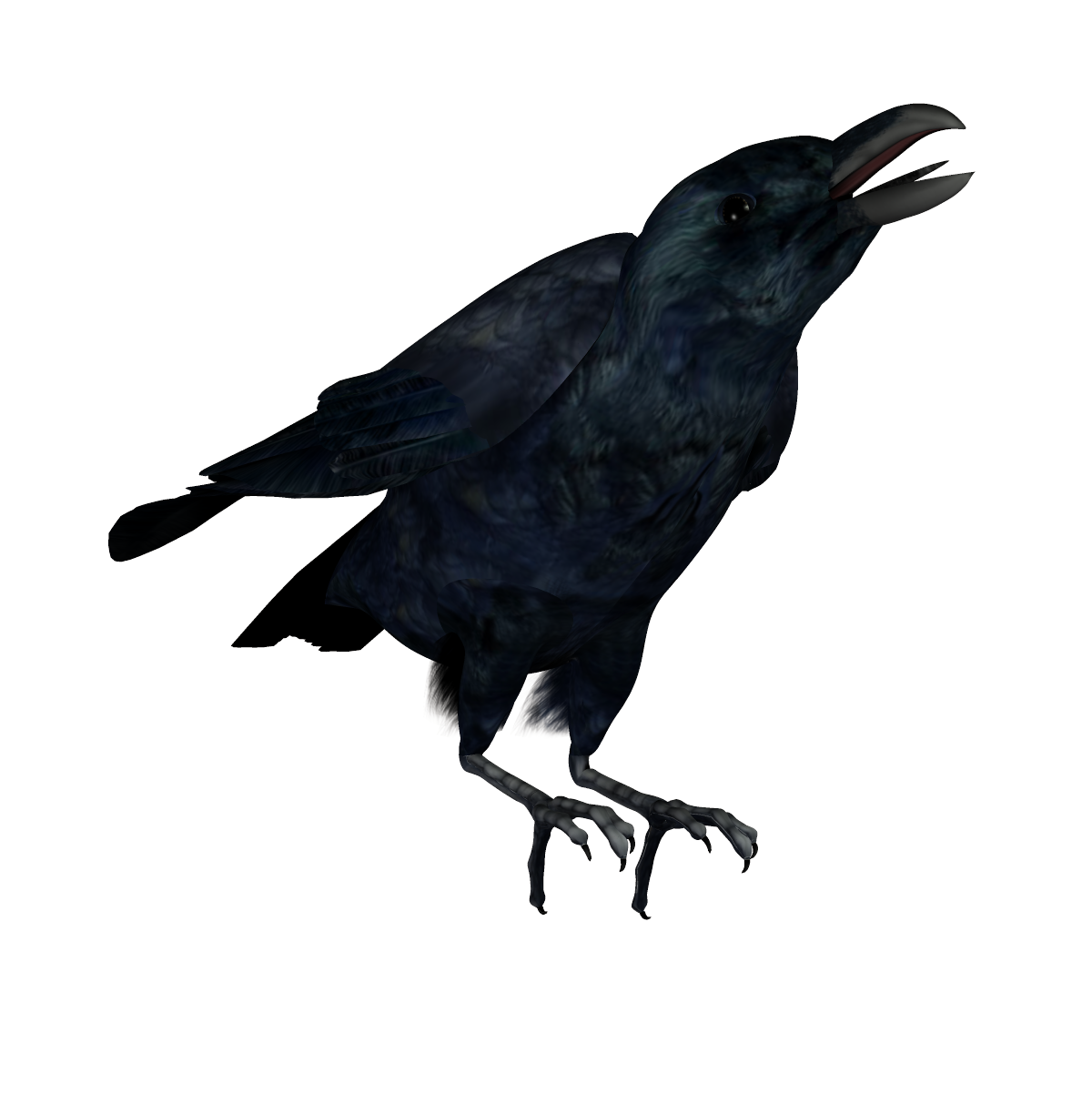 Picture Raven Free Transparent Image HD PNG Image