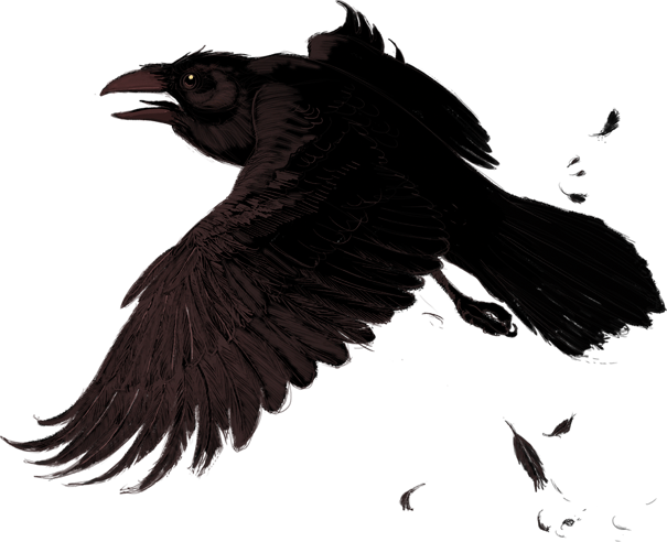 Raven Png PNG Image