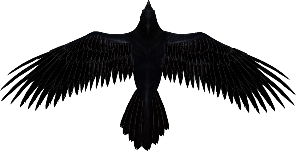 Raven PNG Image