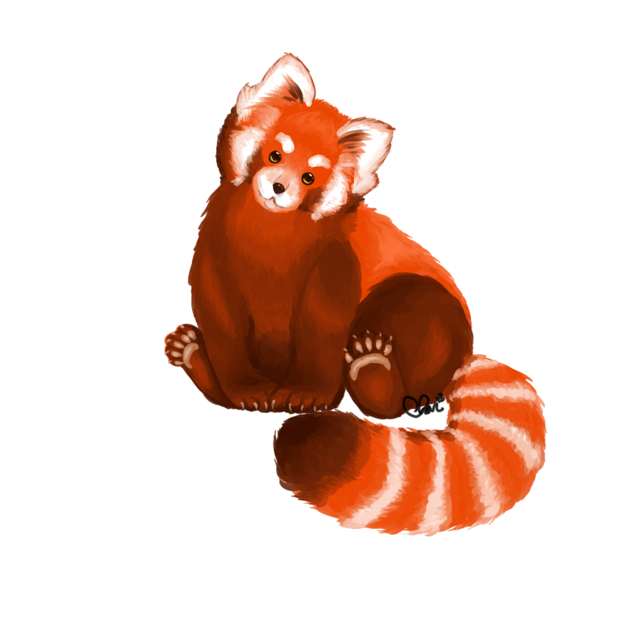 Red Panda Png File PNG Image