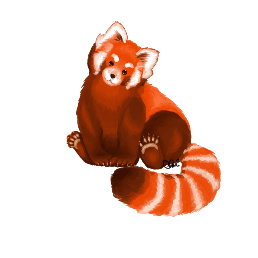 Red Panda Png File Transparent HQ PNG Download | FreePNGImg