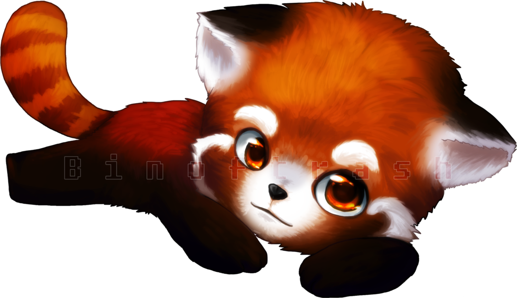 Red Panda