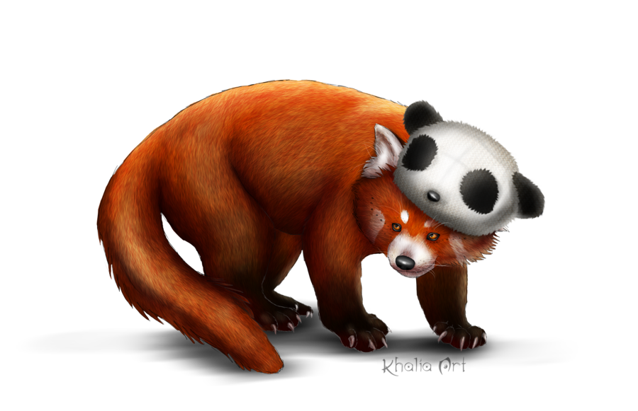 Red Panda Png Picture PNG Image