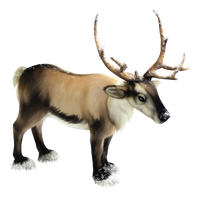 Reindeer Png Clipart PNG