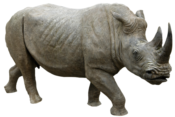 Rhinoceros Png Image PNG Image