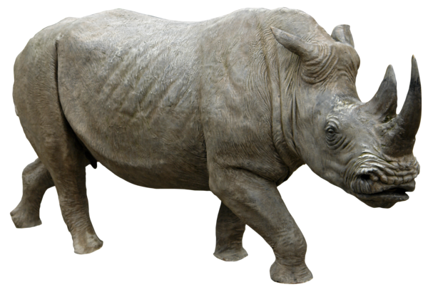 Rhinoceros Png Image Transparent PNG Image