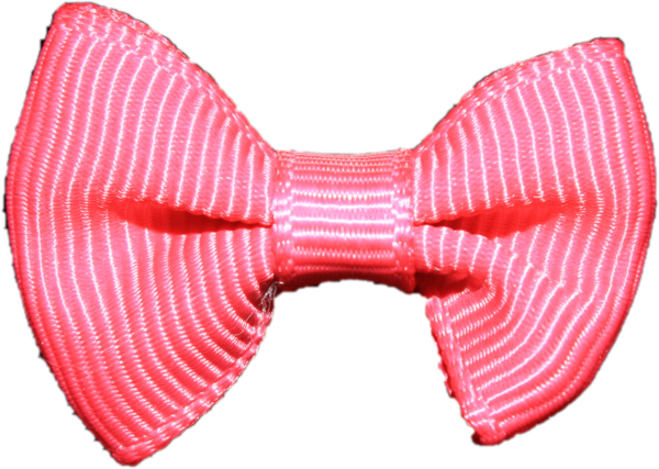 Gift Bow Ribbon Transparent PNG Image