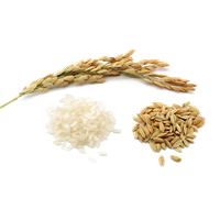 Rice PNG Image