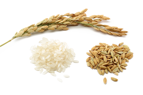 Rice PNG Image