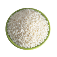 Rice File PNG Image