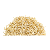 Rice Image PNG Image