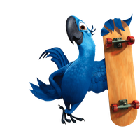 Rio File PNG