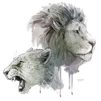 Lioness Roar Transparent Background PNG