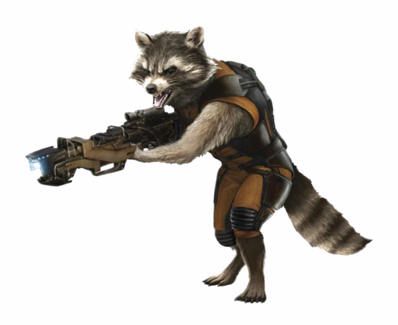 Raccoon Guardian Rocket Download HQ PNG Image