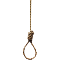 Rope loop PNG