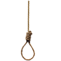 Rope loop PNG