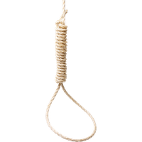 Rope loop PNG