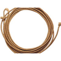 Rope PNG
