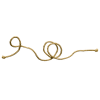Rope PNG