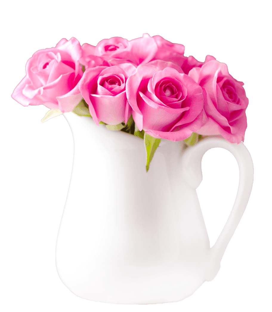 Pink Flower Blossom Rose Photos Bunch PNG Image