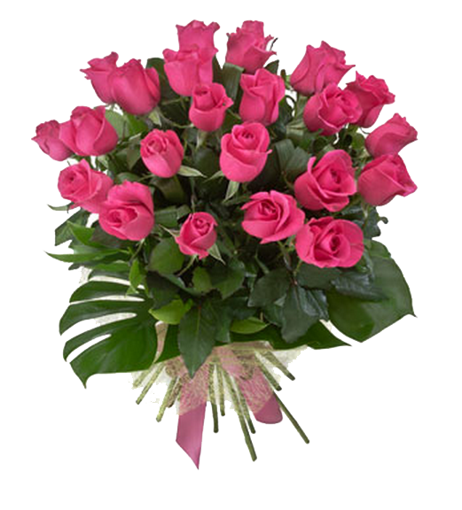 Blossom Pink Flower Bunch Rose PNG Image