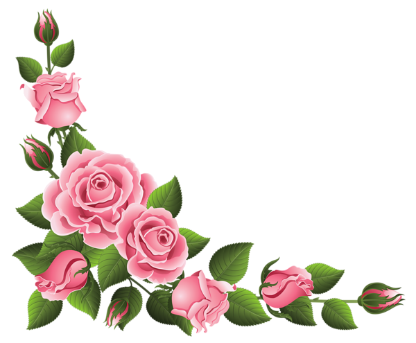 Pink Rose Flower Bunch Free Photo PNG Image