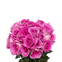 Pink Spring Flower Bunch Rose Transparent HQ PNG Download | FreePNGImg