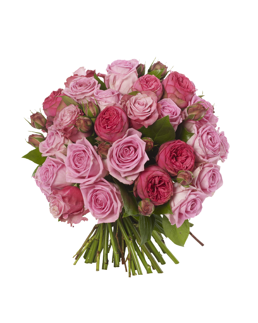 Bouquet Fresh Rose Download HD PNG Image