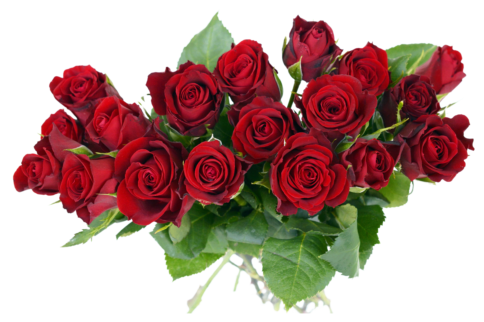 Bouquet Fresh Rose Free HD Image PNG Image