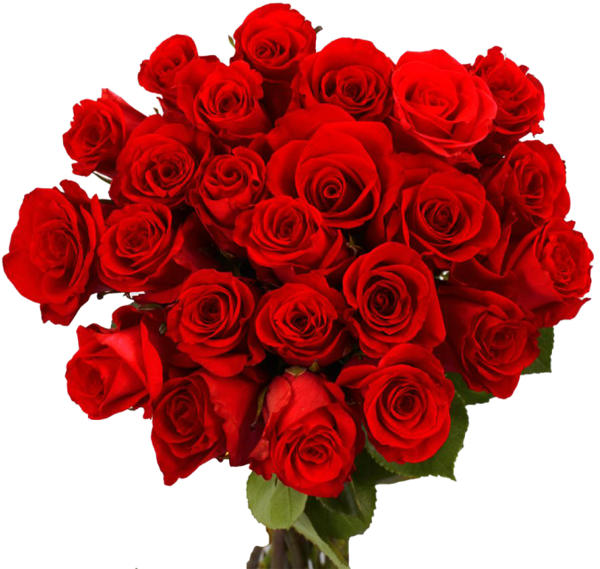 Bouquet Rose Red Free Photo PNG Image