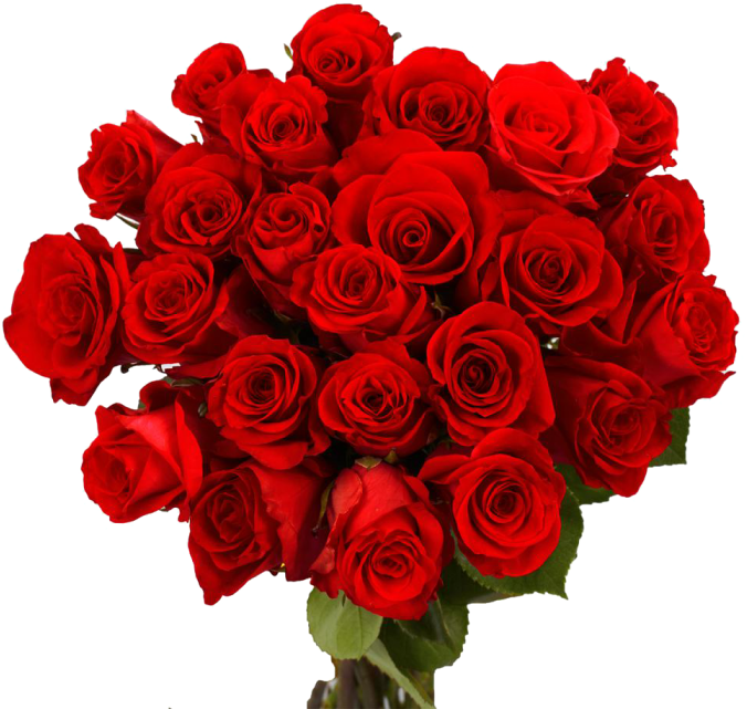 rose bunch png