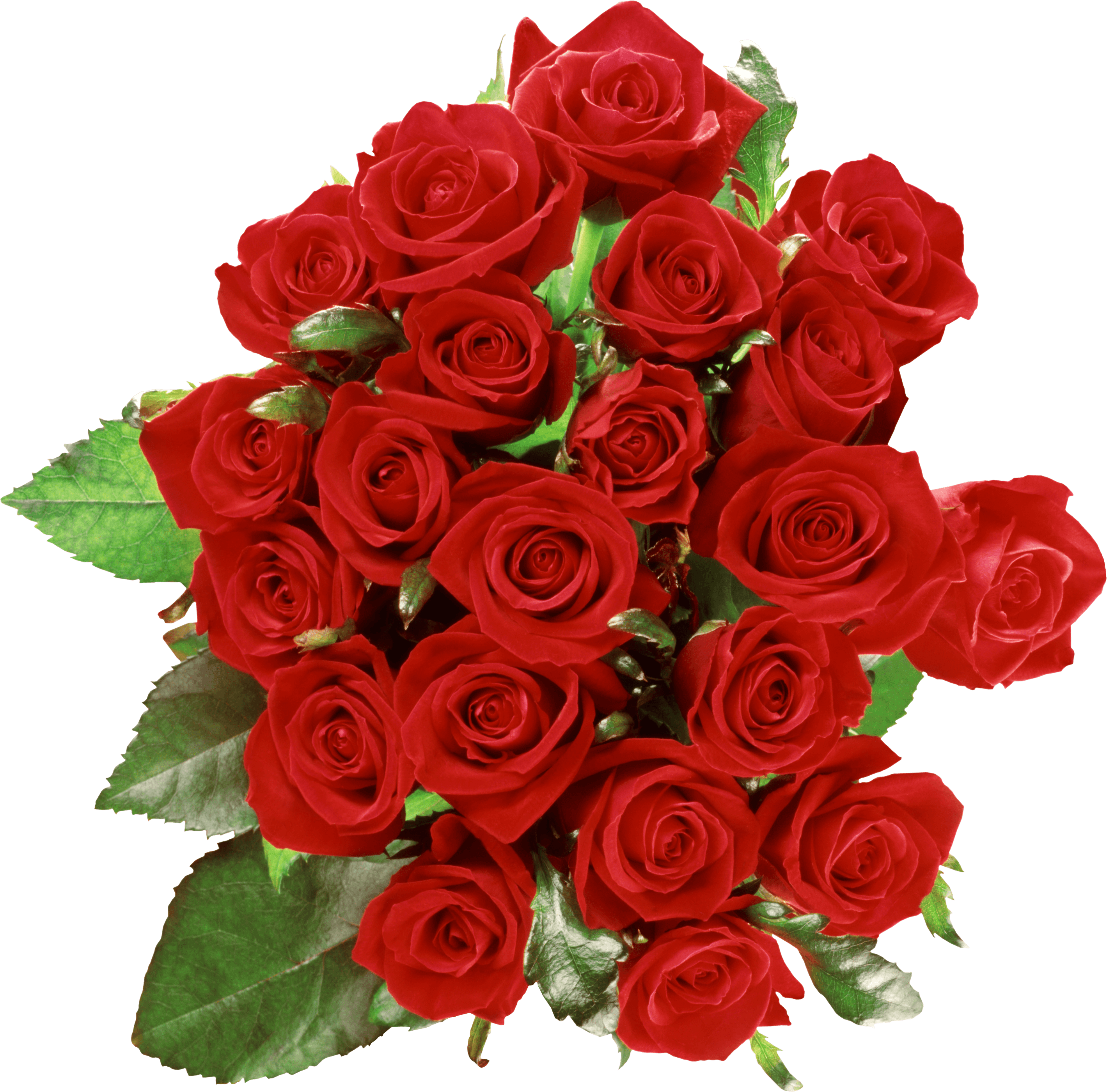 Bouquet Rose Red Free Download PNG HQ PNG Image