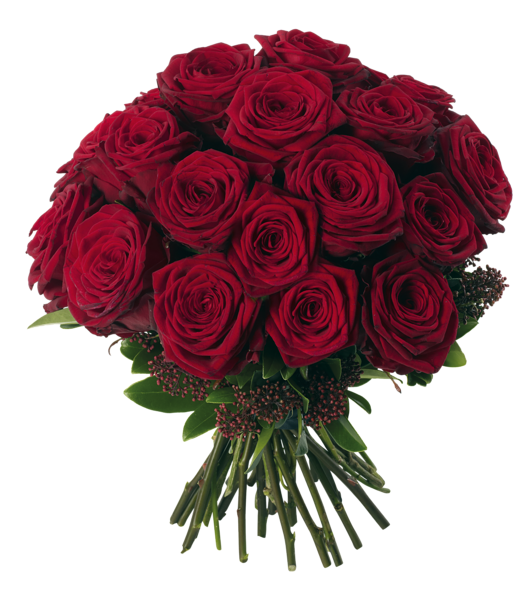 Bouquet Rose Red Photos Free HQ Image PNG Image
