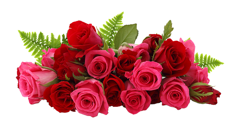 Bouquet Rose Pic Red Download Free Image PNG Image